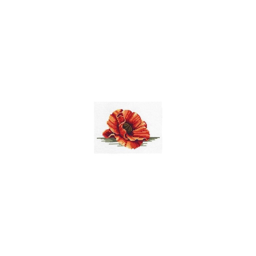 Андриана Белдизарт Подарок успеха SAND-10 – 2