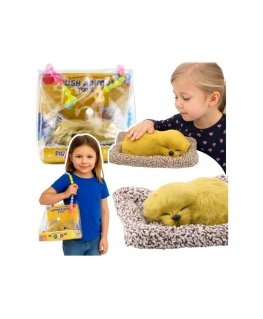 Lean Toys Dekoratiivne figuur Labrador koos padjaga, 18x15 cm