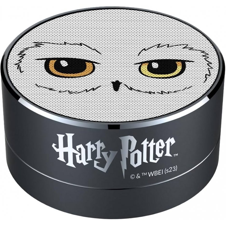 Ert Group Harry Potter juhtmevaba kaasaskantav kõlar