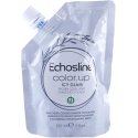Echosline Color.up Coloring Conditioning Mask Icy Glam 150ml