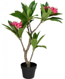 Kaemingk Kunstlik pottinud frangipani puu, 50 x 90 cm