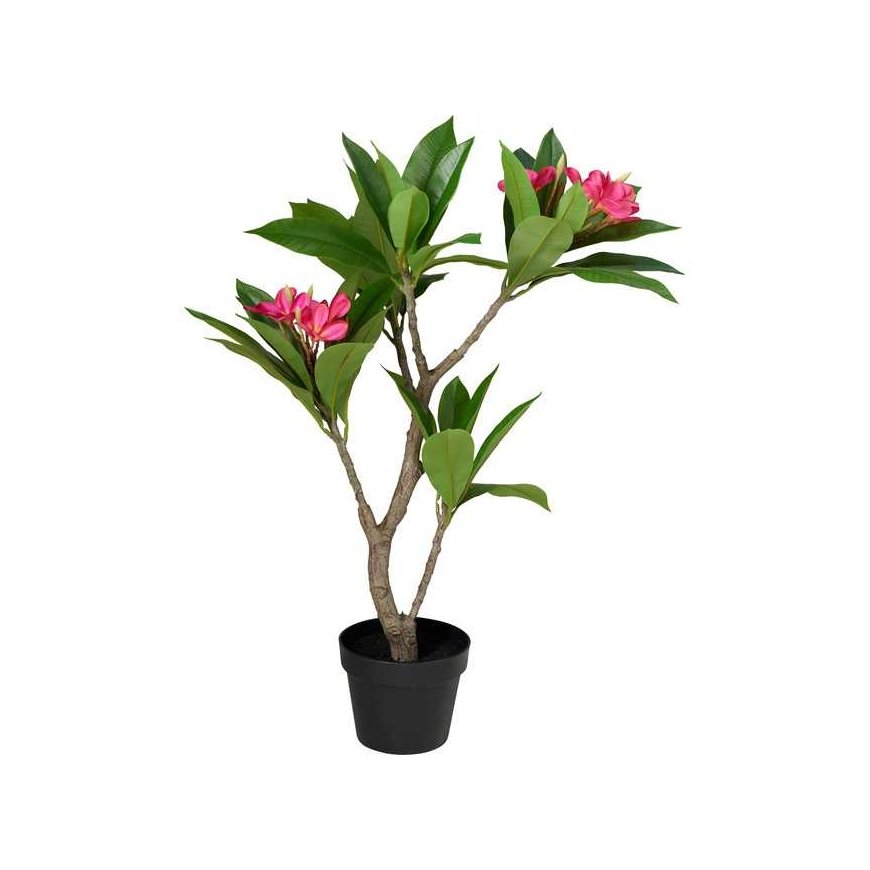 Kaemingk Mākslīgais vazonis frangipani koks, 50