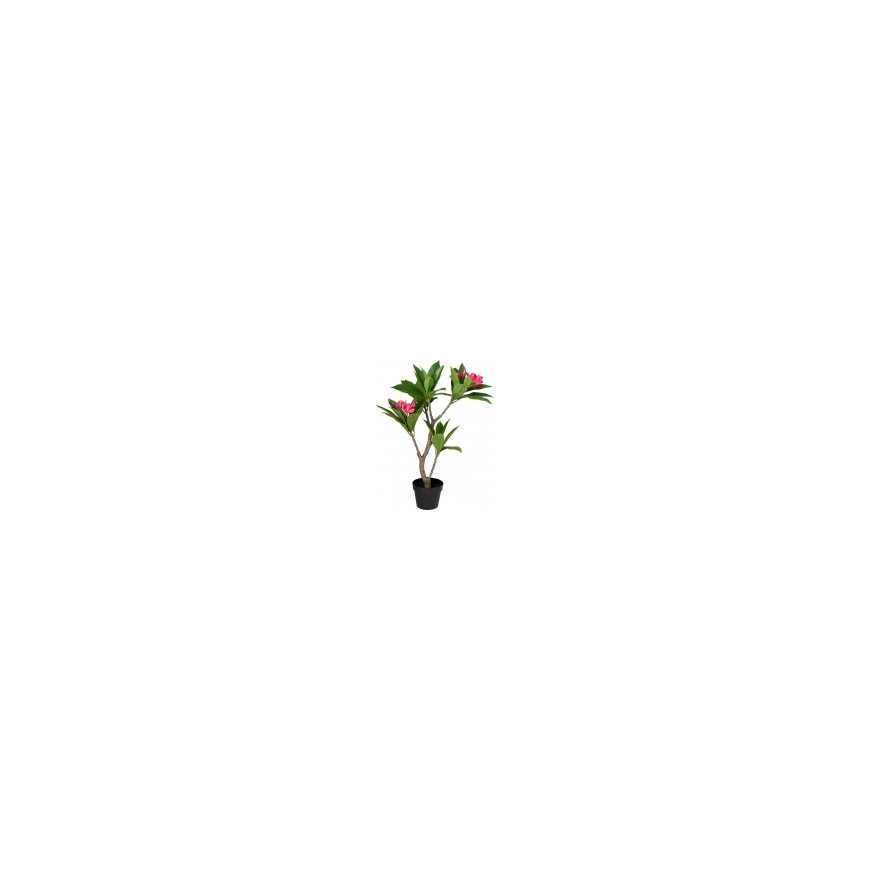 Kaemingk Kunstlik pottinud frangipani puu, 50 x 90 cm – 2