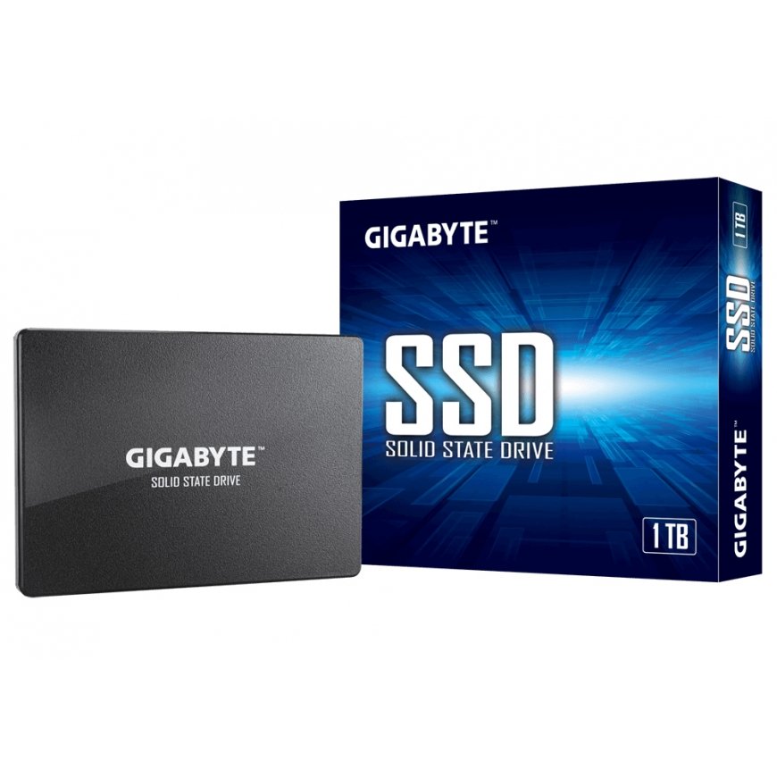 GIGABYTE GP-GSTFS31100TNTD SSD diskdzinis 1 TB