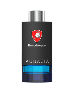 Tonino Lamborghini, Techno Audacia, Eau De Toilette, For Men, 10