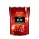 Holista Arthro Strong 600g Holista Arthro Strong 600g