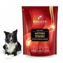 Holista Arthro Strong 600g Holista Arthro Strong 600g