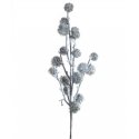 Eurofirany KW/NATU/403/ROHELINE ROHELINE+TERAS Eurofirany KW/NATU/403/ROHELINE ROHELINE+TERAS