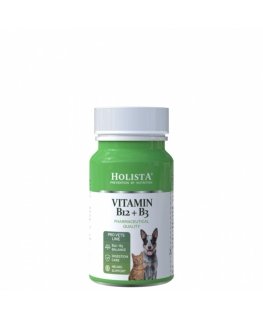 Holista Vitamin B12 + B3 90 Tab.