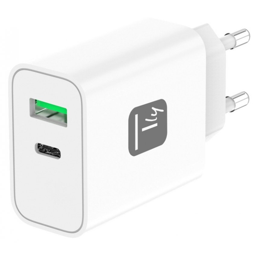 Techly IPW-USB-30WACG PDA/mobīlo telefonu lādētājs Universāls