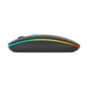 Xtrike Me GW-113 kompiuterio pelė Žaidimams Abiems rankoms Radijo dažnio belaidė Optinis 1600 DPI Xtrike Me GW-113 kompiuterio pelė Žaidimams Abiems rankoms Radijo dažnio belaidė Optinis 1600 DPI