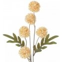 Eurofirany KW/NATU/462/POMA POMA Eurofirany KW/NATU/462/POMA POMA