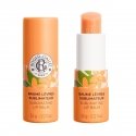Roger & Gallet NÉROLI sublimating lip balm 3.5 gr Roger & Gallet NÉROLI sublimating lip balm 3.5 gr