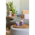 Yankee Candle Stargazing vahaküünal Silinder Lilleline Lilla 1 tk Yankee Candle Stargazing vahaküünal Silinder Lilleline Lilla 1 tk