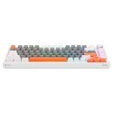 Savio ASTRAL WHITE JADE 3 COLOURS клавиатура Игровой USB QWERTY Международный американский стандарт Savio ASTRAL WHITE JADE 3 COLOURS клавиатура Игровой USB QWERTY Международный американский стандарт