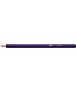 BIC 9641481 spalvotas pieštukas 24 vnt