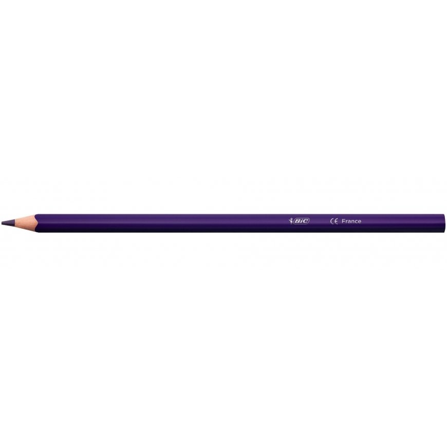 BIC 9641481 colour pencil 24 pc(s)