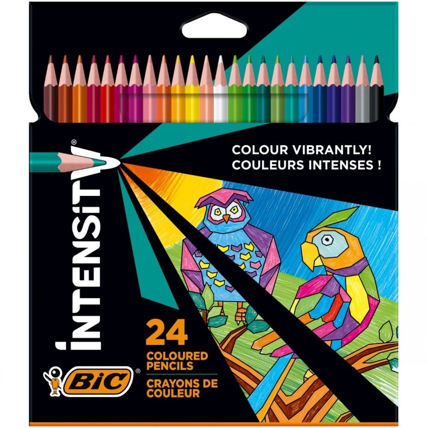 BIC 9641481 värikynä 24 kpl – 2