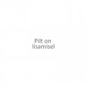 Apple iPhone 17 Premium Magsafe Soft Touch Silikoninis Sage