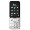 Unify OpenScape DECT Phone SL6 6.1 cm (2.4") 90 g Grey