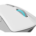 Lenovo Legion M600 Wireless Gaming hiiri Pelaaminen Molempikätinen RF Wireless + Bluetooth + USB Typ Lenovo Legion M600 Wireless Gaming hiiri Pelaaminen Molempikätinen RF Wireless + Bluetooth + USB Typ