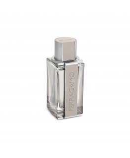 Salvatore Ferragamo Ferragamo Bright Leather 100 ml Vīrieši