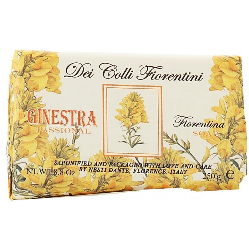 Dante Nesti Dante Dei Coli Fiorentini
