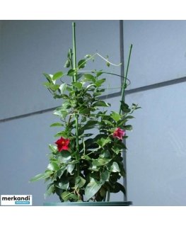 PROGARDEN 78CM PLANT SUPPORT RING