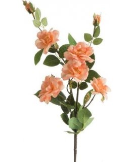 Eurofirany KW/NATU/379/PINK PINK+GREEN