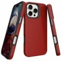 Perfectionists Triangle Mag Case Apple iPhone 11 sarkans