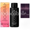 Schwarzkopf Igora Vibrance Nº0-99 Concentrated Violet Enhancer 60ml Professional Hair Dye Schwarzkopf Igora Vibrance Nº0-99 Concentrated Violet Enhancer 60ml Professional Hair Dye