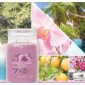 Yankee Candle Wild Orchid vaska svece Cilindrs Orhideja Lillā 1 pcs Yankee Candle Wild Orchid vaska svece Cilindrs Orhideja Lillā 1 pcs
