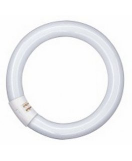 Osram LUMILUX T9 C loistelamppu 40 W G10q Viileä valkoinen