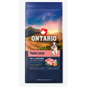 Barība kucēniem – Ontario Puppy and Junior Large, Chicken and Sw
