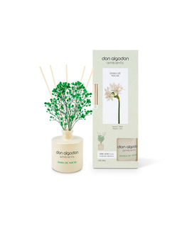 Ruumi lõhn Don Algodon Mikado Dama De Noche, 60 ml