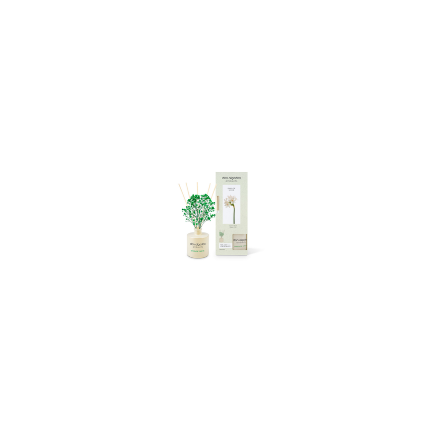 Ruumi lõhn Don Algodon Mikado Dama De Noche, 60 ml