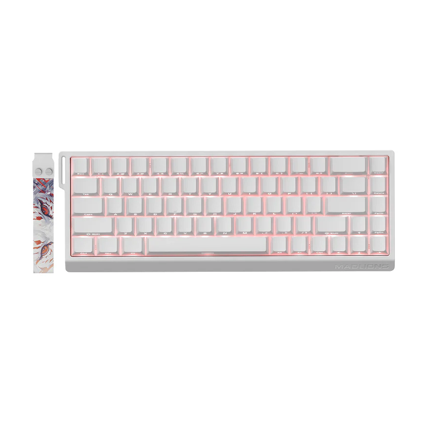 Fierce Gaming Gear (FGG) Madlions Fierce