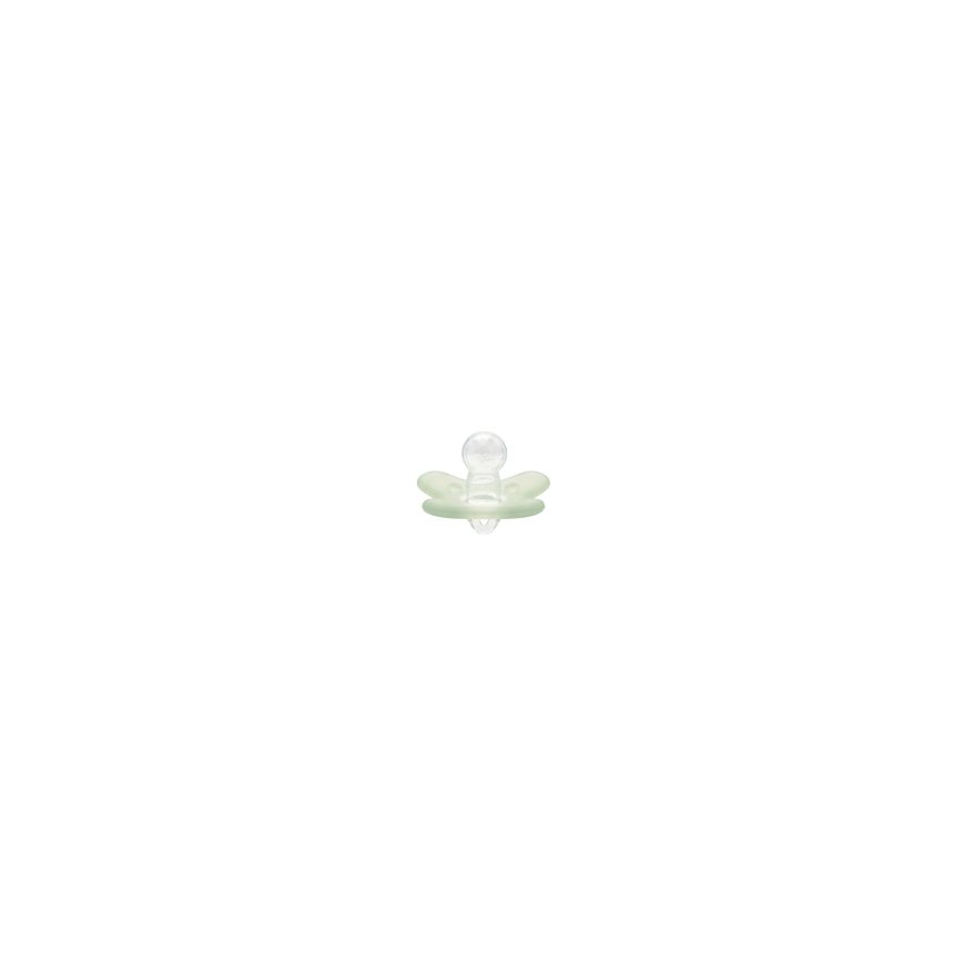 CANPOL BABIES 100% silicone symmetrical pacifier 0-6 months, 1 pc, 24/001_gre – 2