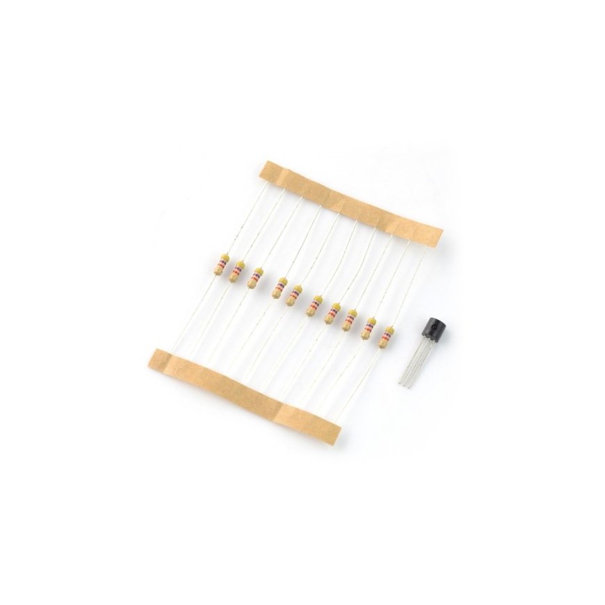Oem DS18B20 temperature sensor + 4.7kΩ resistors – 2