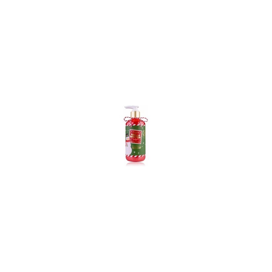 Accentra Kätepesu HELLO WINTER doseerijas, 290 ml – 2