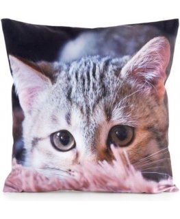 Eurofirany CHP/ANIMAL/75 45X45