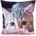 Eurofirany CHP/ANIMAL/75 45X45 Eurofirany CHP/ANIMAL/75 45X45