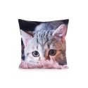 Eurofirany CHP/ANIMAL/75 45X45 Eurofirany CHP/ANIMAL/75 45X45