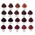 Alfaparf Evolution juuksevärv, 60ml - 5,6 | Hele Punane Pruun Alfaparf Evolution juuksevärv, 60ml - 5,6 | Hele Punane Pruun
