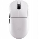 Беспроводная мышь NATEC EUPHONIE PRO 4000DPI SILENT