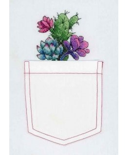 Beldizart Tirpus Watercolor Canvas Cross-Stitch Embroidery Kit Cactus and Succulents SV-240