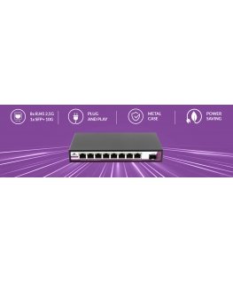 Spacetronik SWITCH 24 RJ45 ports 2.5G SFP port 10G SP-SGT124S