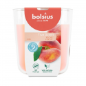 Lõhnastatud küünal klaas True Scents Ø97x85mm virsikuvärvi Lõhnastatud küünal klaas True Scents Ø97x85mm virsikuvärvi