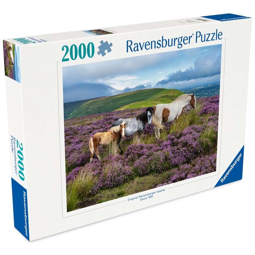 Ravensburger puzle 2000 gab: trakainie zirdzi