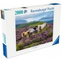 Ravensburger puzle 2000 gab: trakainie zirdzi pļavā Ravensburger puzle 2000 gab: trakainie zirdzi pļavā